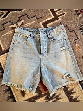 wild fable Light Blue Distressed Denim Shorts, 10